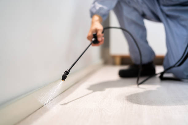 Professional exterminator conducting IPM assessment in Golf Manor